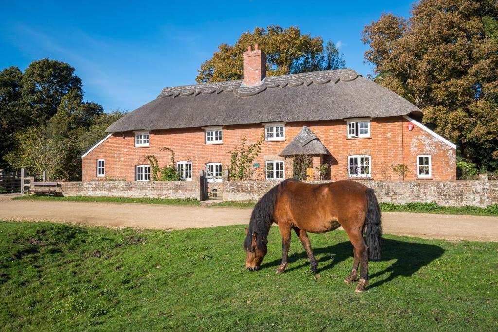 Thatched Cottage (Brockenhurst) 