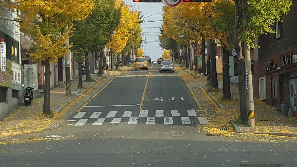 울산 일산해수욕장 대왕암 숙소